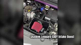 GAC 트럼프치 섀도우 레오파드 1.5T